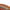 ALS07-200 Britney Red Wallet Inside RFID Zip