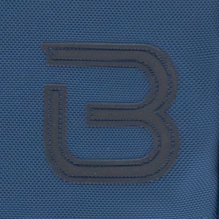 BAPC Logo