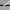 BDA Key Leash
