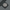 BDA Logo
